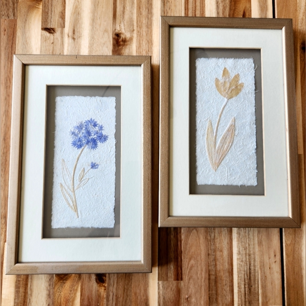 Pressed Flower Art - Set of 2